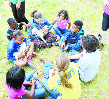 Children enjoying a baby goat from SonRidgeFarms. Each summer two groups of children spend a week at the camp in Kings Mountain to learn about life on the farm.