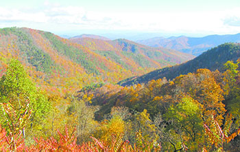 A sweeping view from the Buck Creek Gap tract in McDowell County. Foothills Conservancy completed transfer of the key inholding property to the United States Forest Service on July 20. Photo courtesy of Foothills Conservancy