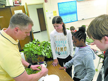 Teacher, Joel Fraser cuts a turnip for students to taste.