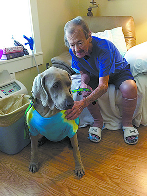 Volunteers with therapy dogs help by visiting patients.