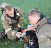 Firemen administer oxygen with the life saving WAG\'N O2 FUR LIFEÂ® Pet Oxygen Mask.       