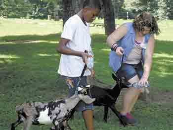 Kids from the Boys & Girls Club Jack & Ruth  Schweppe Summer Day Camp program care for baby goats as part of their rural experience at SonRidge Farm, Kings Mountain. 