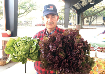 Mr. Loyd Lewis, of Lewis Farms, one of the many vendors you will find at Foothills Farmers' Market, proudly shows off some of the fantastic produce locally grown on his farm.