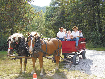 Horse drawn wagon rides...
