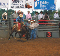 Another rider breaks out of one of the chutes on a feisty bronc! 
