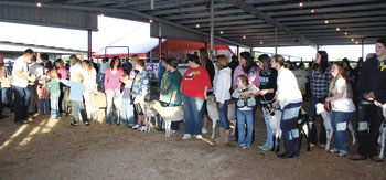 North Shelby students line up with the goats to receive their trophies.