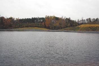 The pond