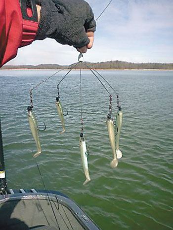 Matt Arey displays the rig he uses called the â€œRaker rigâ€, these can be found at www.blademasterlures.com This photo was taken during last weekâ€™s practice on Lake Hartwell.