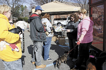 Wanda Whitworth, Brandon Poteat, Bobbie Dell and Judy Justice line up with their pets for a free rabies shot. Volunteer Jennifer Hord (with clipboard) fills out the paperwork prior to the dogs getting their shots.