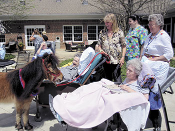 Jan Young with Sparkie, one of her Mini Horses,  visiting patients at Wendover Hospice House.