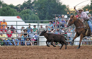 Calf Roping