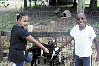 Daviona and Shedrick find new friends at SonRidge Farm in Kings Mountain.