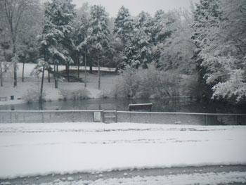 Holly Oak Park Pond