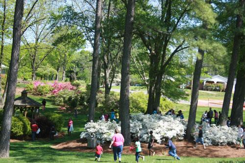 A beautiful spring day for hunting eggs!