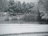 Holly Oak Park Pond