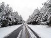 Upper Cleveland County Snow