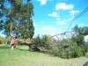 Tree split